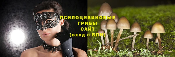 ГАЛЛЮЦИНОГЕННЫЕ ГРИБЫ Белоозёрский