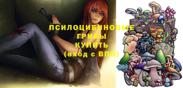 ГАЛЛЮЦИНОГЕННЫЕ ГРИБЫ Белоозёрский