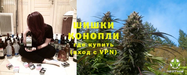 ГАЛЛЮЦИНОГЕННЫЕ ГРИБЫ Белоозёрский