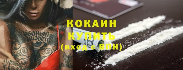 ГАЛЛЮЦИНОГЕННЫЕ ГРИБЫ Белоозёрский