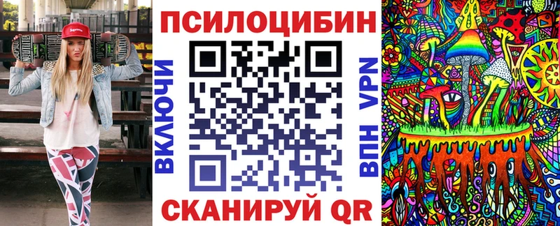 закладка Вольск Галлюциногенные грибы Psilocybe